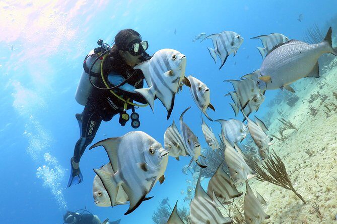 Open Water Diver 2-Day PADI Course in Playa del Carmen - The Value of All-Inclusive Equipment and Support
