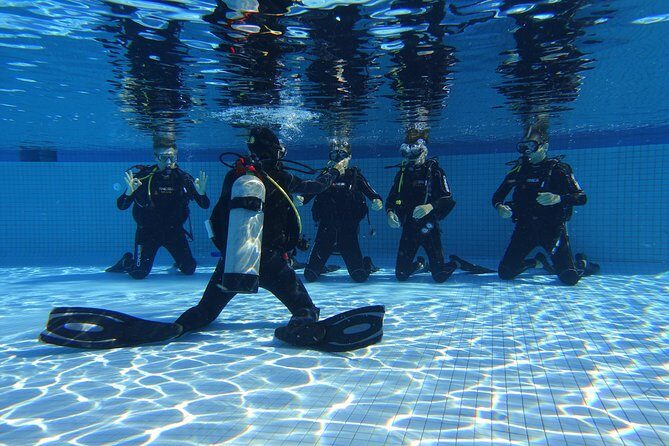 Open Water Diver 2-Day PADI Course in Playa del Carmen - Meeting and Location Details