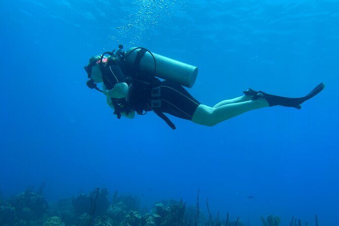 Open Water Diver - Bávaro - Final Thoughts: Is it Worth It?