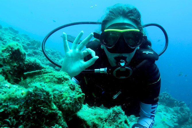 Open Water Diver Course at Blue Bay Dive in Curacao - What to Expect from the Itinerary