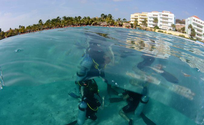 Open Water Diver Course at Blue Bay Dive in Curacao - Who Should Consider This Course?