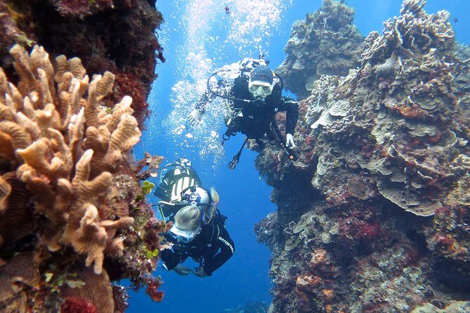 Open Water Diver course PADI in Cancun - The Logistics and Practicalities