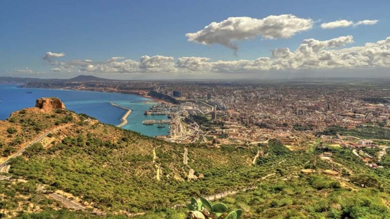 Oran: Guided Food Tour with Tastings and Meal - Key Points