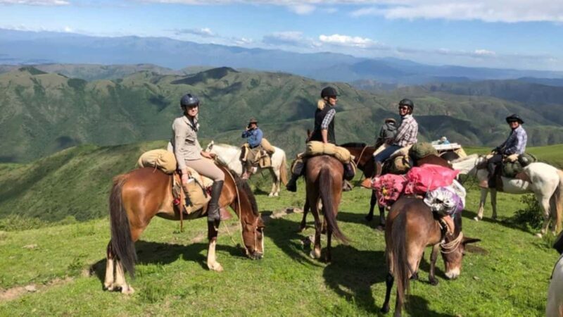 Oran: Horseback Riding Tour with Mint Tea and Pickup - Key Points