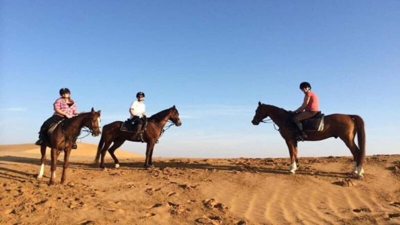 Oran: Horseback Riding Tour with Mint Tea and Pickup - The Itinerary in Detail