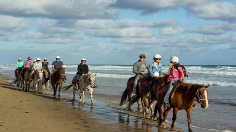 Oran: Horseback Riding Tour with Mint Tea and Pickup - Why Choose This Tour?