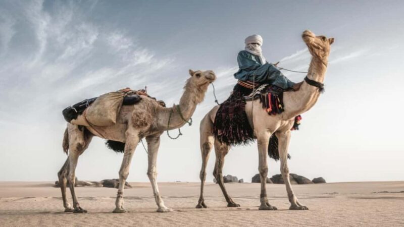 Oran: Scenic Camel Ride with Mint Tea - Key Points
