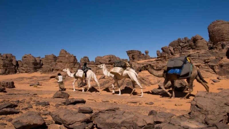 Oran: Scenic Camel Ride with Mint Tea - Who Should Consider This Experience?