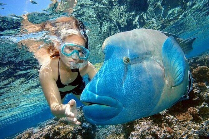 Orange Bay Island 2 Snorkeling Stops Water Sports Romantic Escape - Who Will Love This Tour?