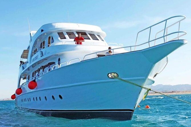 Orange bay Island and Parasailing, Snorkeling, & Water Sports, Lunch - Hurghada - Who Is This Tour Best For?