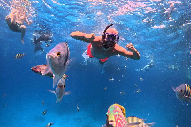 Orange Bay Island Cruise with Breakfast, Lunch and Drinks - The Return Journey and Final Meal