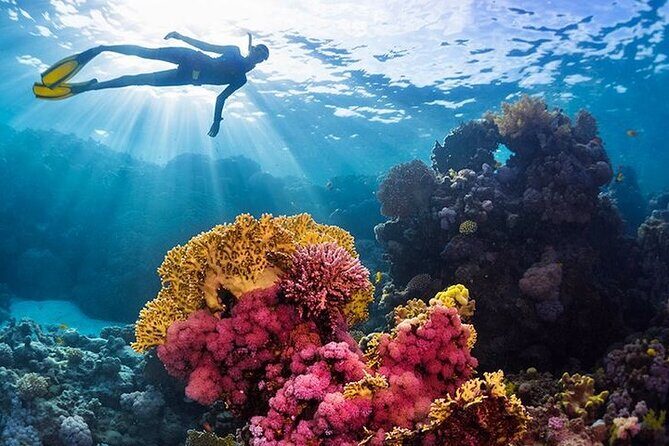 Orange Bay Island Luxury Boat With Lunch & Water Sport - Hurghada - Who Is This Tour Best Suited For?
