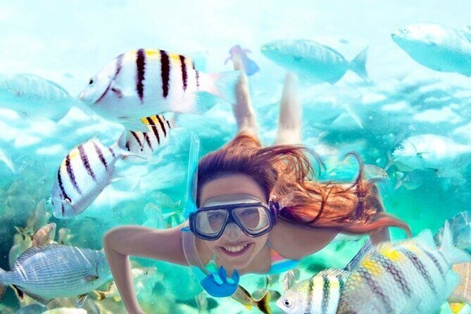 Orange Bay Island Snorkeling Trip in Hurghada - Key Points