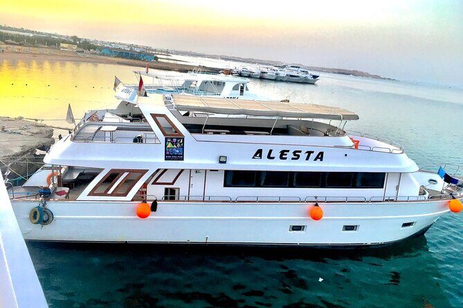 Orange Bay Island with Snorkeling Boat Trip in Hurghada - Egypt - Who Would Love This Trip?