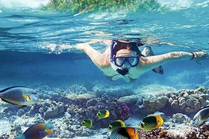 Orange Bay Island with Snorkeling, Lunch & Water Activities - The Value Proposition