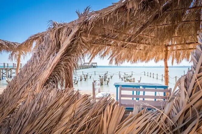 Orange Bay Island with Snorkeling, Lunch & Water Activities - Who Will Love This Tour?
