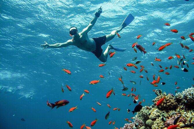 Orange Bay Snorkeling Trip with Lunch & Transfer From Hurghada - Additional Fees and Considerations