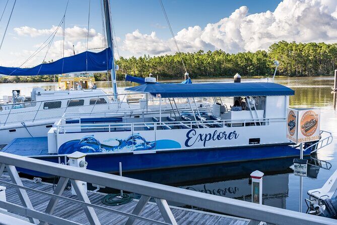 Orange Beach Dolphin Eco Boat Tour - A Detailed Look at the Experience