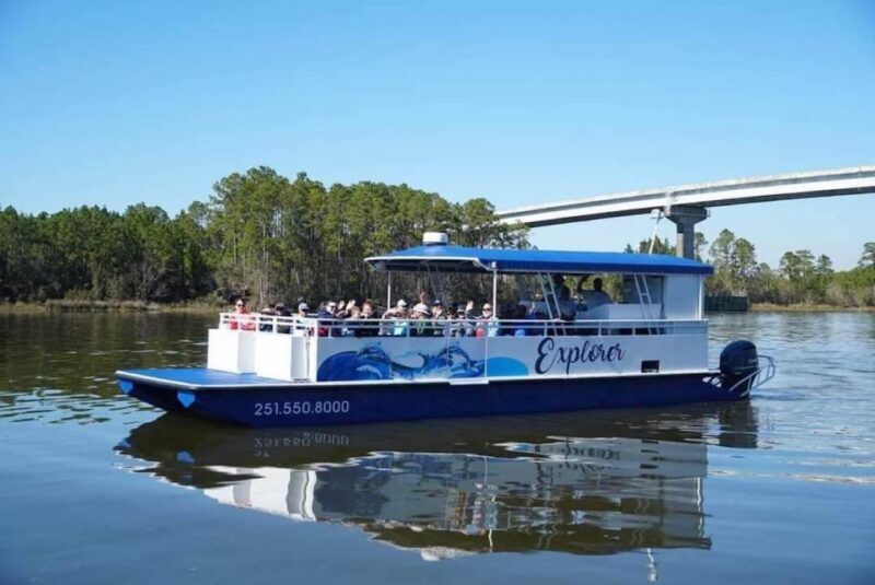 Orange Beach: Dolphin Eco Sunset Cruise aboard The Explorer - Who Will Love This Tour?