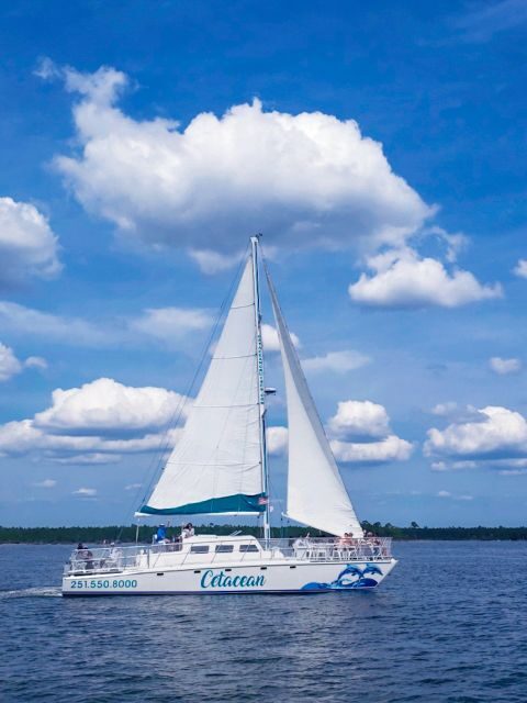 Orange Beach: Dolphin & Sailing Cruise Aboard 52' Catamaran - Key Points