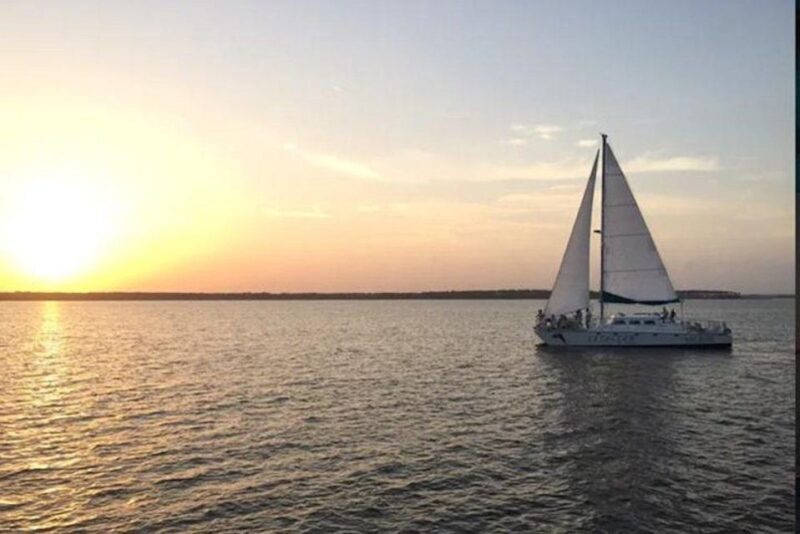 Orange Beach: Dolphin & Sailing Cruise Aboard 52' Catamaran - A Practical Overview of the Dolphin & Sailing Cruise