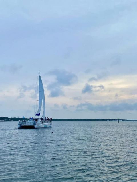 Orange Beach: Dolphin & Sailing Cruise Aboard 52' Catamaran - Wildlife Sightings and the Natural Habitat