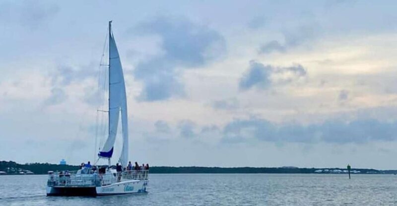 Orange Beach: Dolphin & Sailing Cruise Aboard 52' Catamaran - Authenticity and Customer Experience