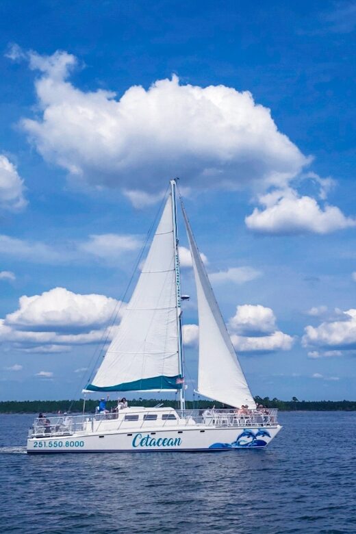 Orange Beach: Dolphin & Sailing Cruise Aboard 52' Catamaran - Practical Tips for Your Cruise