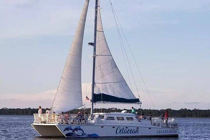 Orange Beach Dolphin Sailing Cruise aboard Catamaran - Frequently Asked Questions
