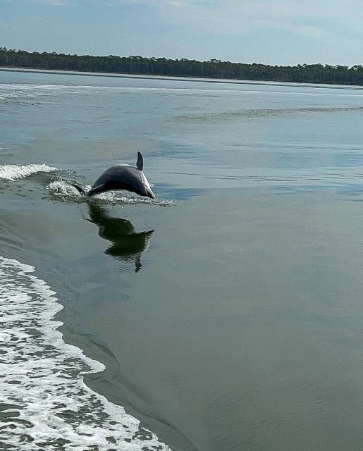 Orange Beach: Dolphin-Watching Eco-Boat Tour - Key Points
