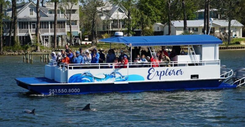 Orange Beach: Dolphin-Watching Eco-Boat Tour - The Full Experience: What to Expect on Your Dolphin Tour