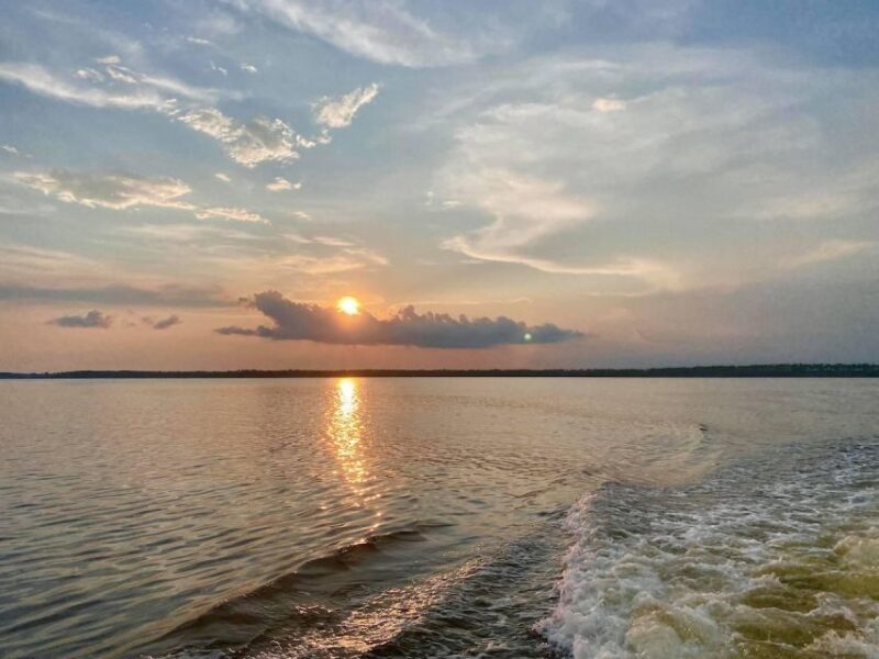Orange Beach: Sunset Sailing Cruise Aboard The Cetacean - Wildlife and Scenic Highlights