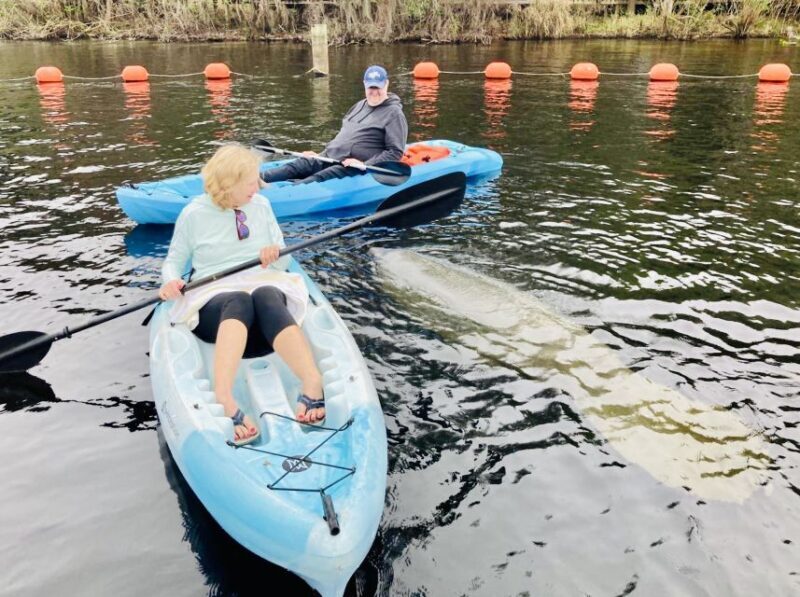 Orange City: Blue Spring State Park SUP & Kayaking Tour - The Practical Side of the Tour
