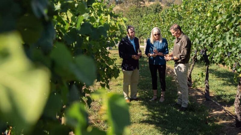 Orange: Indulge with Swinging Bridge - 5-Course Lunch & Tour - The Vineyard Walk