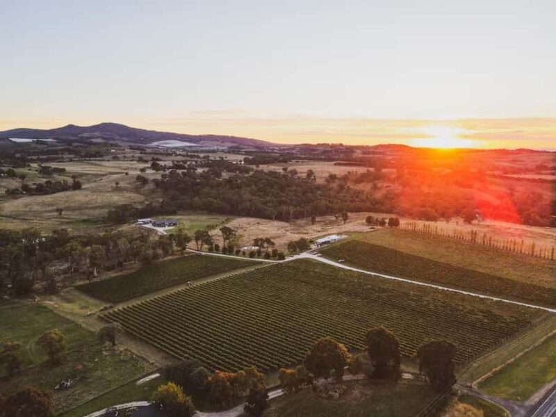 Orange: Indulge with Swinging Bridge - 5-Course Lunch & Tour - Additional Notes