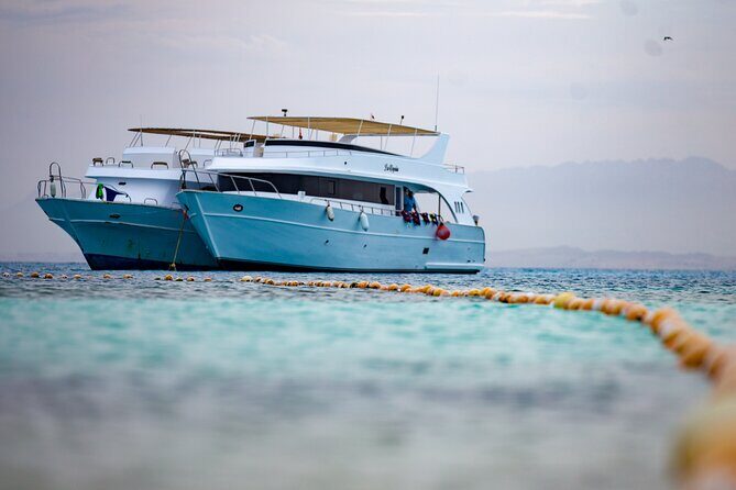 Orange Island Sea Trip Full Day With Lunch & transfer - Hurghada - The Fine Print: What’s Included & Whats Not