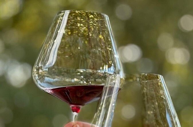 Orange Region Winery Experience by Onayi - The Sum Up: Is This Tour Right for You?