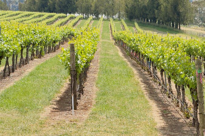 Orange Region Winery Experience by Onayi - FAQs