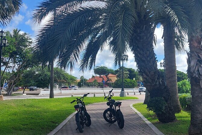 Oranjestad Culture Heritage and Coastal Electric Bike Experience - Who Should Consider This Tour?