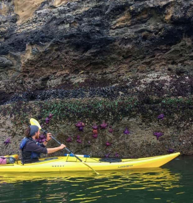 Orcas Island: Wildlife Spotting Kayak Tour - FAQ