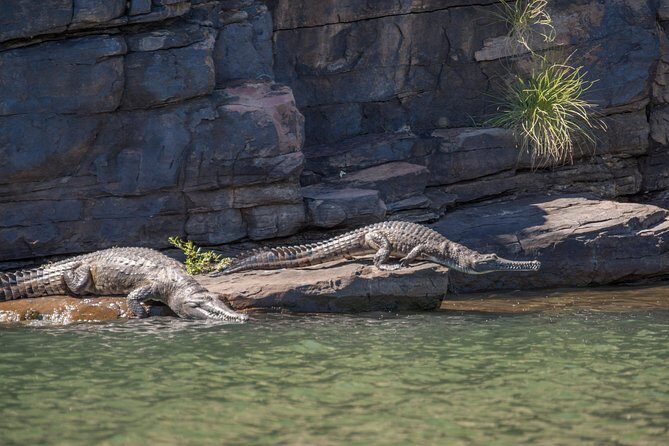 Ord River Discoverer Cruise with Sunset - FAQ