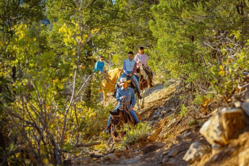 Orderville: Checkerboard Evening Shadow Horseback Ride - Key Points