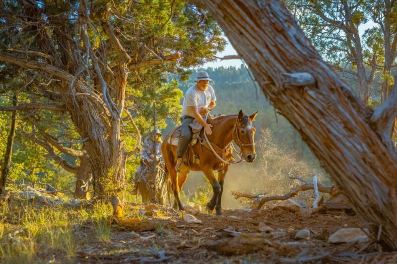 Orderville: Checkerboard Evening Shadow Horseback Ride - FAQs