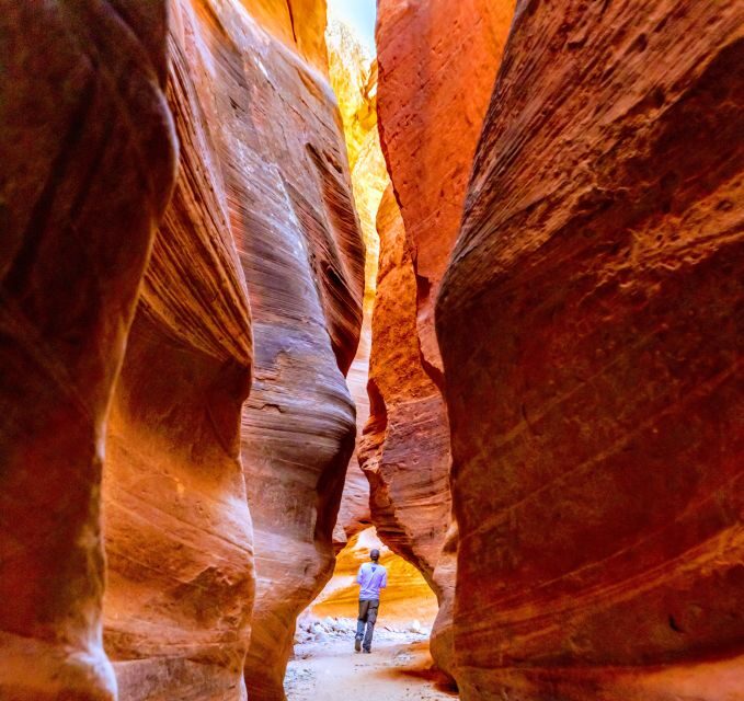 Orderville: East Zion Park White Mountain Horseback Tour - FAQ