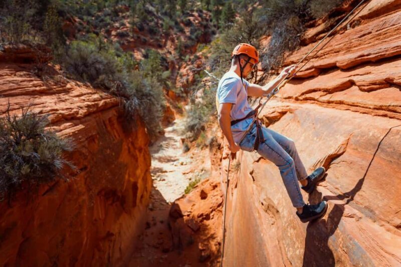Orderville: Elkheart Half-Day Canyoneering and UTV Tour - Key Points