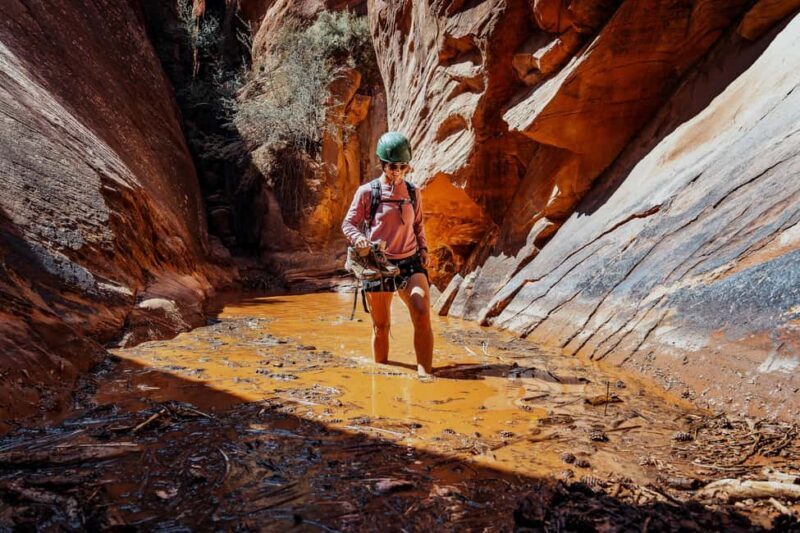 Orderville: Powell's Way Canyoneering & Rappelling Adventure - Key Points