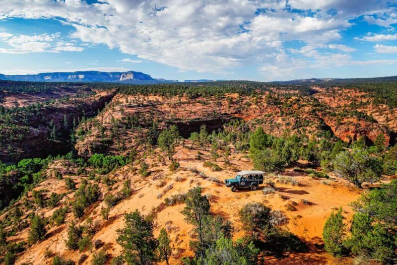 Orderville: Powell's Way Canyoneering & Rappelling Adventure - Overview and Why It Stands Out