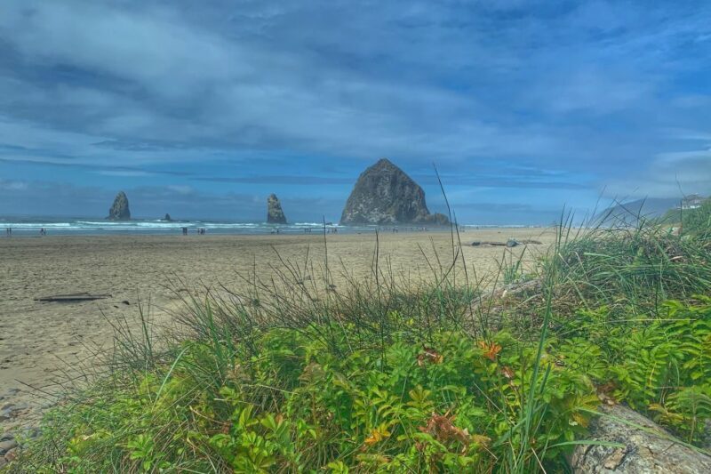 Oregon Coast Day Tour: Cannon Beach and Haystack Rock - The Itinerary in Detail