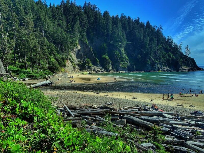 Oregon Coast Day Tour: Cannon Beach and Haystack Rock - Analyzing the Value
