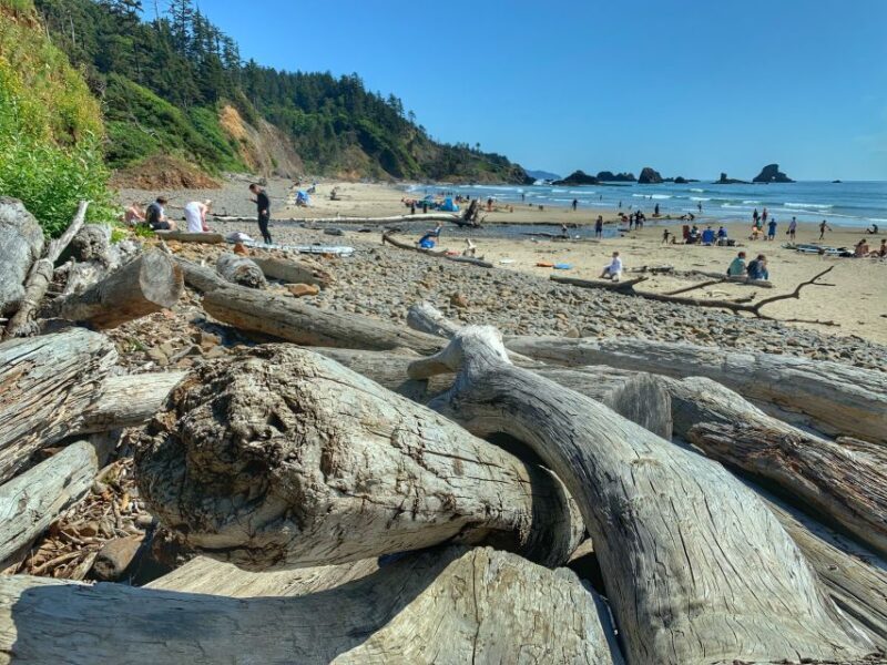 Oregon Coast Day Tour: Cannon Beach and Haystack Rock - Who Is This Tour Best For?